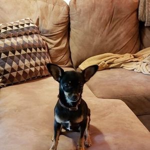 Meet your Posher, Joyce